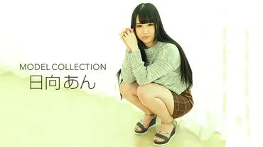 คอลเลกชันรุ่น