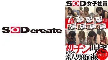 SOD女职员 第一次闻鸡素人男优面试 vol.3 藤井朋花 高桥赖子 吉泽沙映 稻垣纯菜 横沟亮子