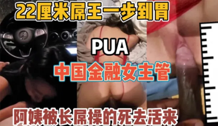 22 cm König der Schwanze, die chinesische Finanzdirektorin PUA!