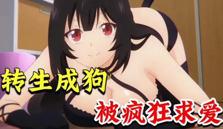 Where is the Puff in Donghua House? [2023-03-04] New super H! Reincarnated as a dog, picked up by a busty goddess, and ordered to do some indescribable tngs every day. New "Born as a Dog, I am Happy" Strawberry Cake