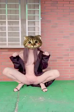 台湾 Love Lulu～汪汪～