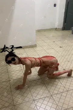 La princesse héritière, le petit chien escalade