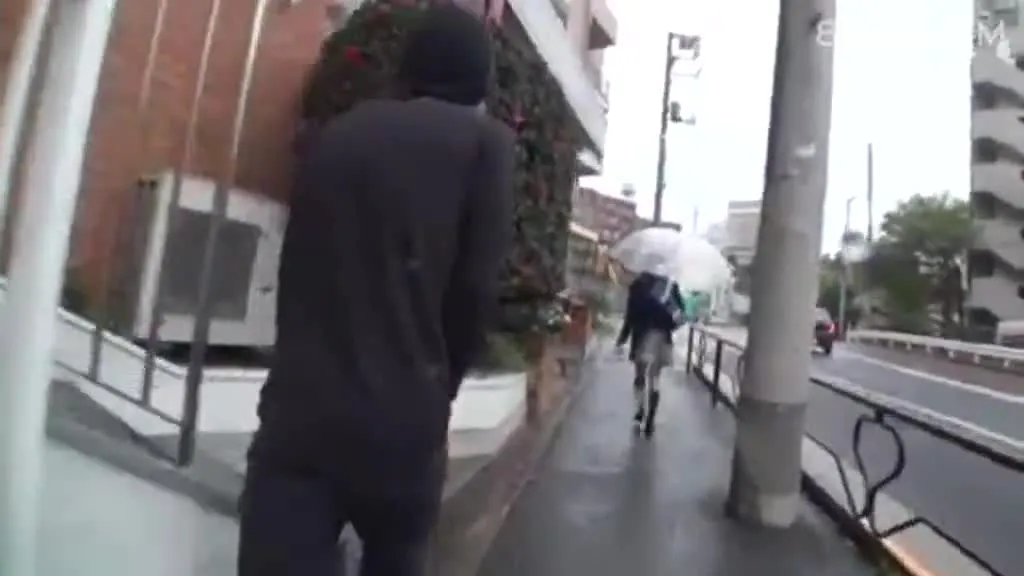 Japanische Nachfolgeserie